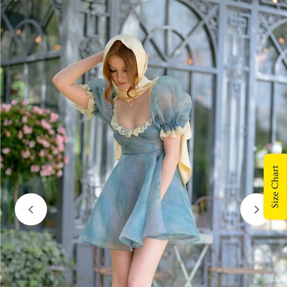 Selkie 2023 Monet Giverny Waterlilies Parliment Dress - Picture 8 of 10